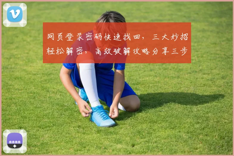 网页登录密码快速找回，三大妙招轻松解密，高效破解攻略分享三步走