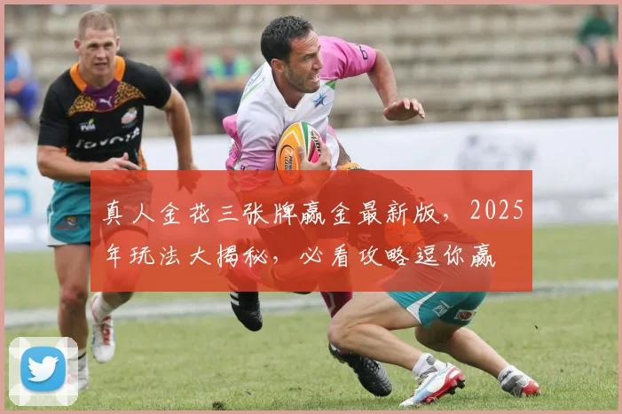 真人金花三张牌赢金最新版，2025年玩法大揭秘，必看攻略逗你赢